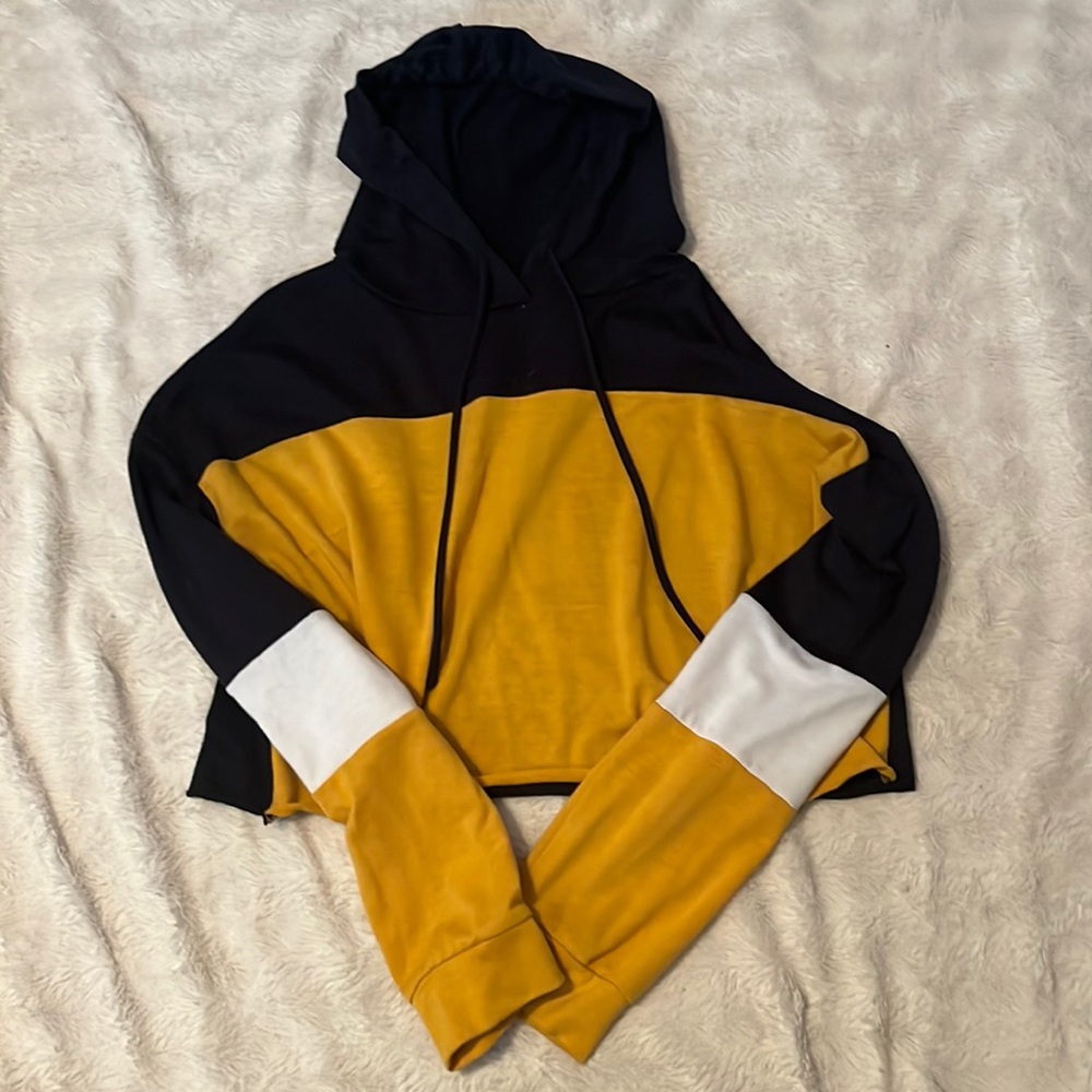 Charlotte Russe Cropped Hoodie